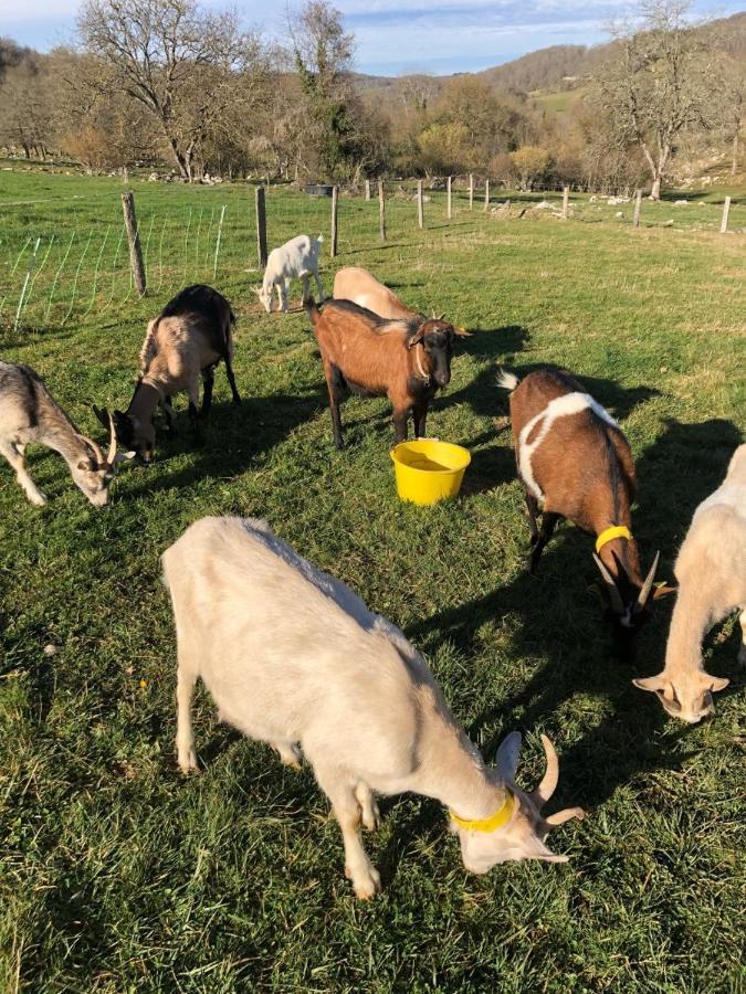 Chambre Familiale A La Ferme Montesquieu-Avantes Екстериор снимка